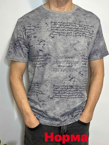 Футболка Vip Stendo (M-2XL) 5101 grey (лето)