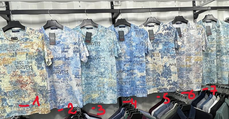 Футболка Vip Stendo (2XL-5XL) 8566-2 l.blue (лето)