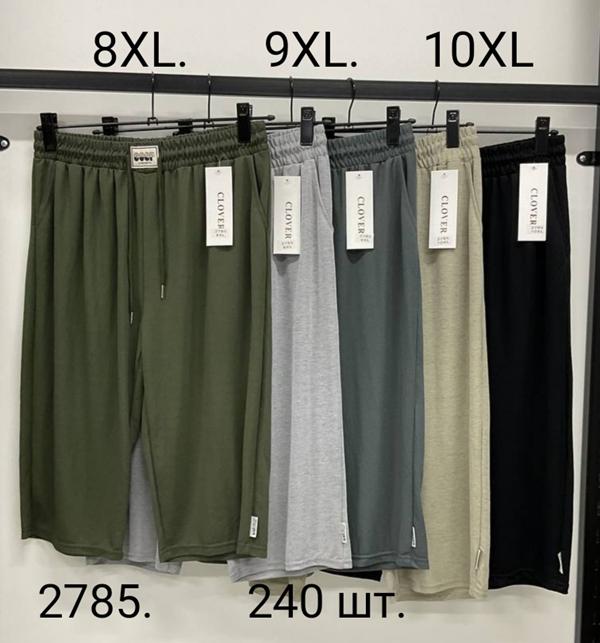 Бриджи SvedaJin (8XL-9XL) 2785 mix (лето)