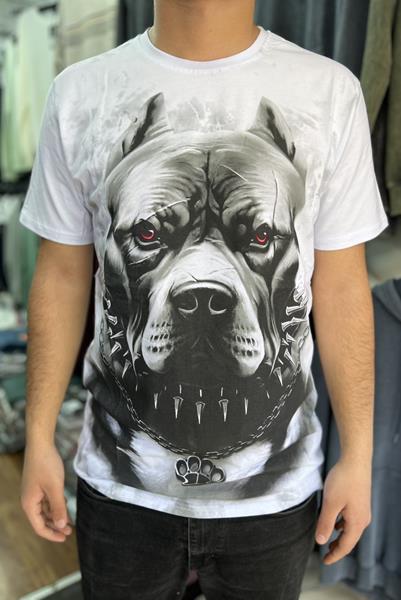 Футболка Vip Stendo (M-2XL) 169 white (лето)