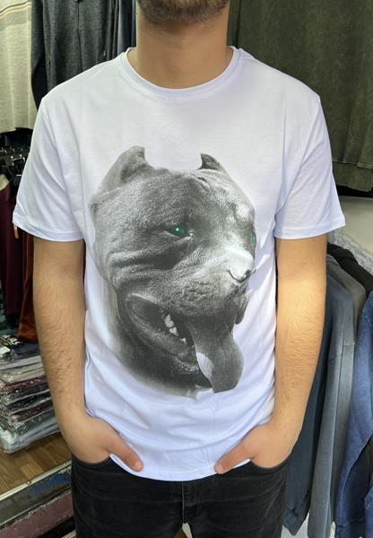Футболка Vip Stendo (M-2XL) 5170 white (лето)