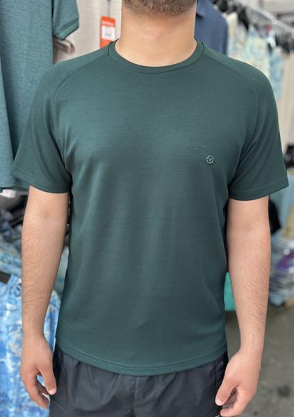 Футболка Vip Stendo (M-2XL) 5710 green (лето)