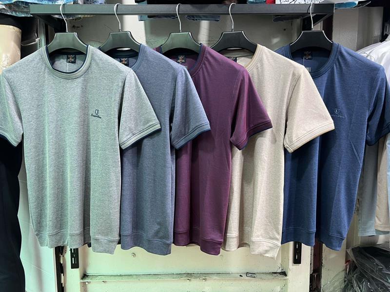 Футболка Vip Stendo (M-2XL) 8012 mint (лето)