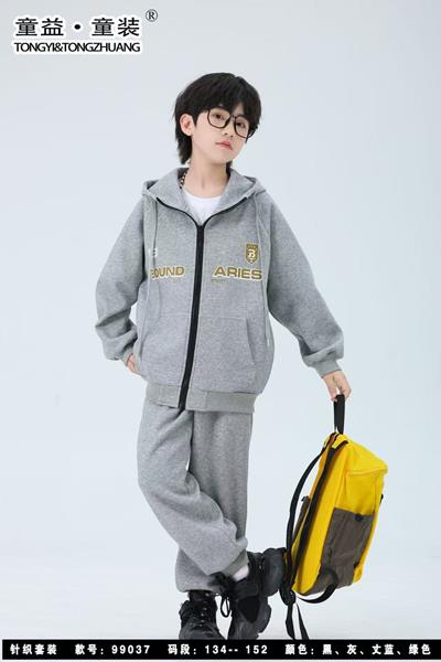 Костюм спорт Delfinka (134-152) 99037 grey (деми)