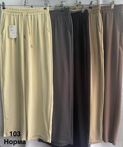 Штаны Minh (S-3XL) 103 brown (лето)