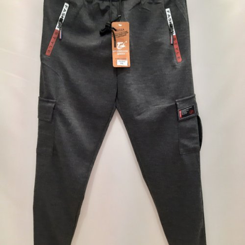 Штаны спорт Giang (XL-5XL) 290563 grey (деми) Giang 290563 grey