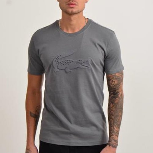 Футболка 2BRO (S-2XL) BR447 grey (лето) 2BRO BR447 grey