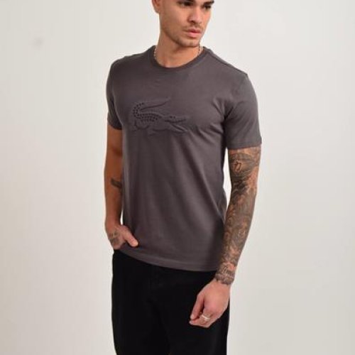 Футболка 2BRO (S-2XL) BR450 d.grey (лето) 2BRO BR450 d.grey
