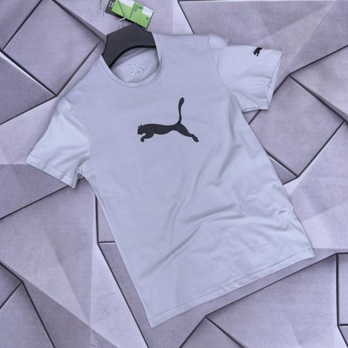 Футболка Rassul (S-2XL) 6068 l.grey (лето) Rassul 6068 l.grey
