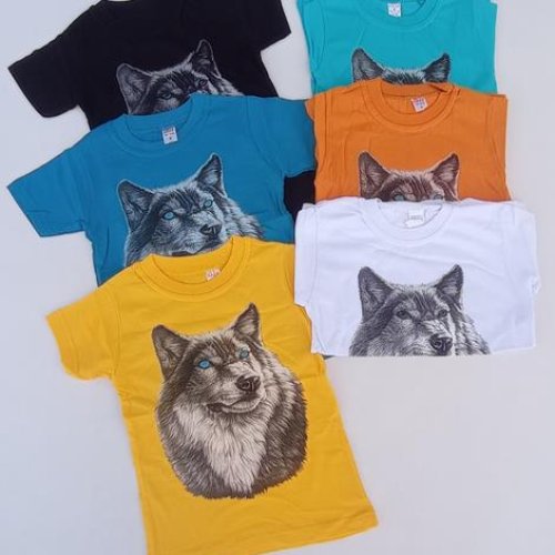 Футболка Meloria (4-8) ML1287 blue (лето) Meloria ML1287 blue