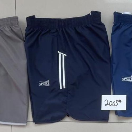 Шорты Vanda (XL-5XL) 2003 blue (лето) Vanda 2003 blue