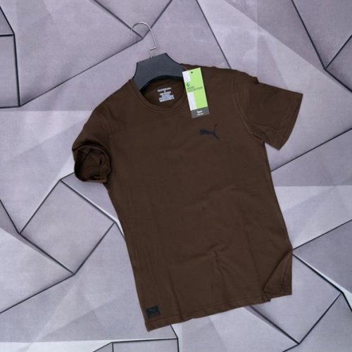 Футболка Rassul (S-2XL) 6151 brown (лето) Rassul 6151 brown