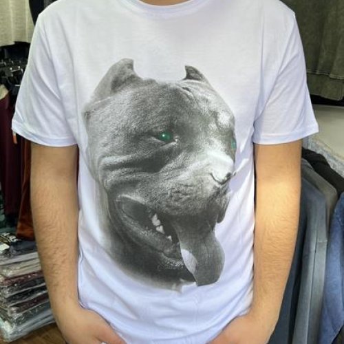 Футболка Vip Stendo (M-2XL) 5170 white (лето) Vip Stendo 5170 white