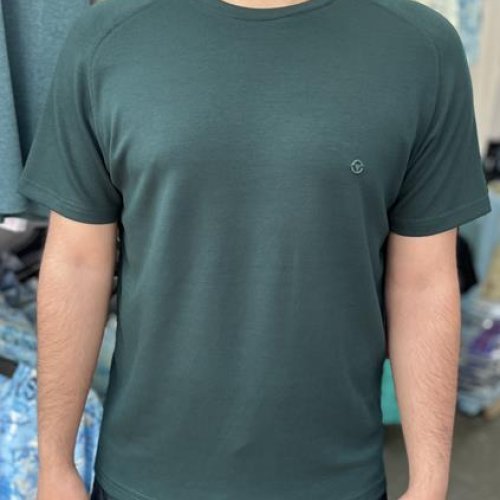 Футболка Vip Stendo (M-2XL) 5710 green (лето) Vip Stendo 5710 green