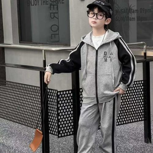 Костюм спорт Delfinka (122-140) 99018 grey (деми) Delfinka 99018 grey