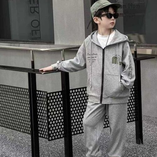 Костюм спорт Delfinka (122-140) 99019 grey (деми) Delfinka 99019 grey