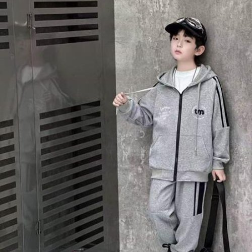 Костюм спорт Delfinka (122-140) 99024 grey (деми) Delfinka 99024 grey