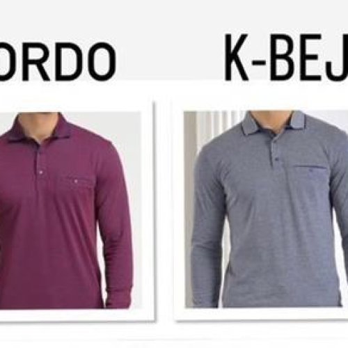 Свитер Steelway (2XL-5XL) SL65 wine (деми) Steelway SL65 wine