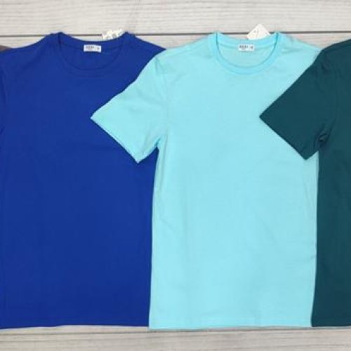 Футболка Imlion (48-56) 1001-1 l.green (лето) Imlion 1001-1 l.green