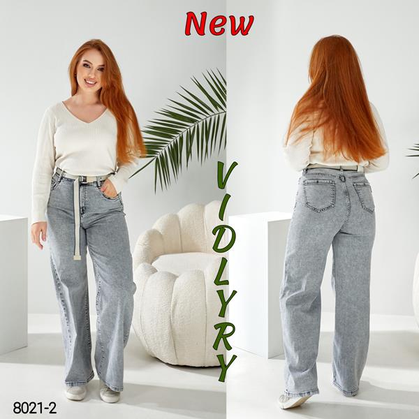 Джинсы Vidlyry (28-33) 8021-2 grey (деми)