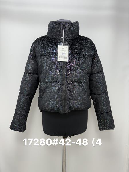 Куртка Jacket (42-48) 17280 black-lilac (деми)
