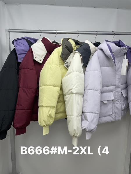 Куртка Jacket (M-2XL) B666 white (деми)