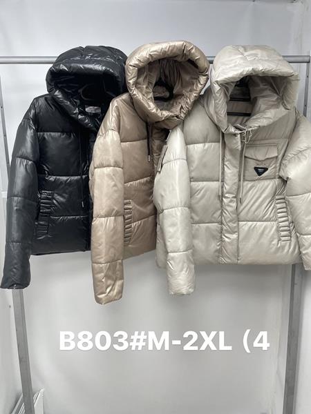 Куртка Jacket (M-2XL) B803 beige (деми)
