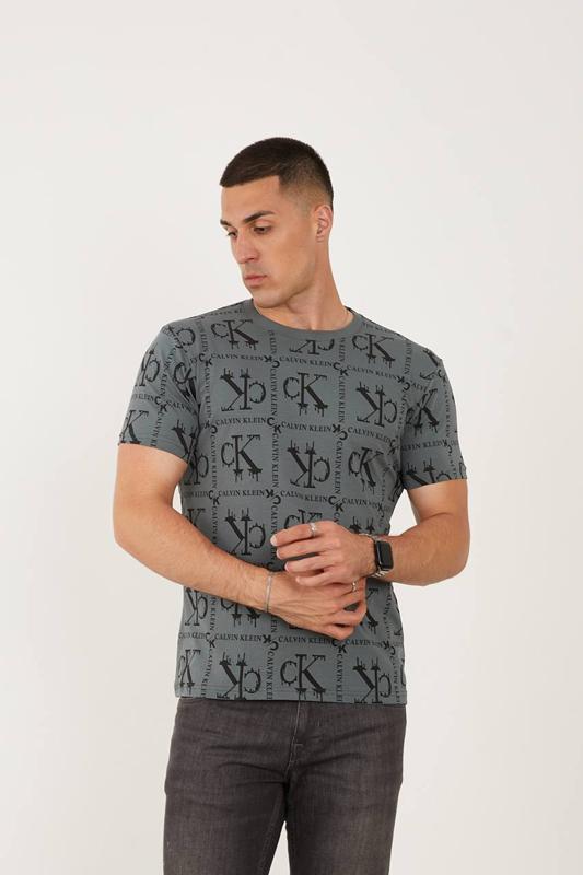 Футболка F.T.H (S-2XL) F118 grey (лето)