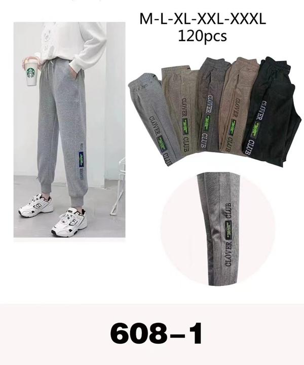 Штаны спорт SvedaJin (M-3XL) 608-1 grey (деми)
