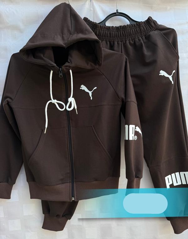 Костюм спорт Shon (36-44) S745 brown (деми)