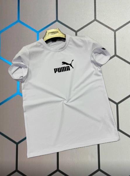 Футболка Alex Clothes (S-2XL) 4469 white (лето)