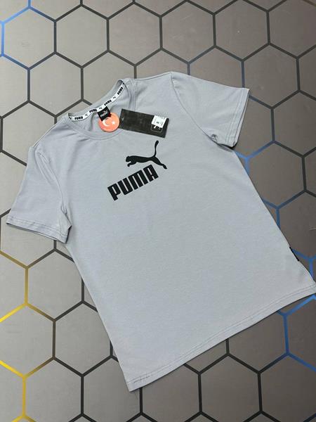 Футболка Alex Clothes (S-2XL) 4506 l.grey (лето)