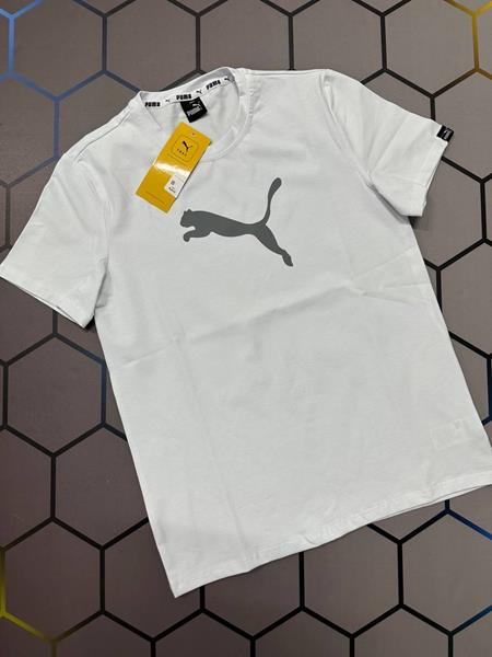 Футболка Alex Clothes (S-2XL) 4516 white (лето)