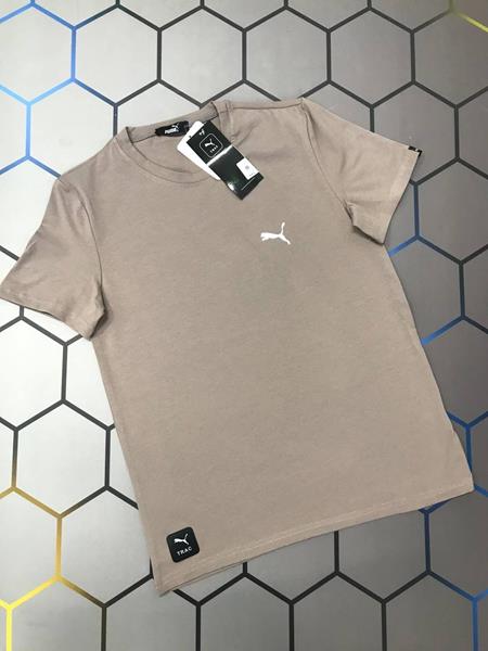 Футболка Alex Clothes (S-2XL) 4562 beige (лето)