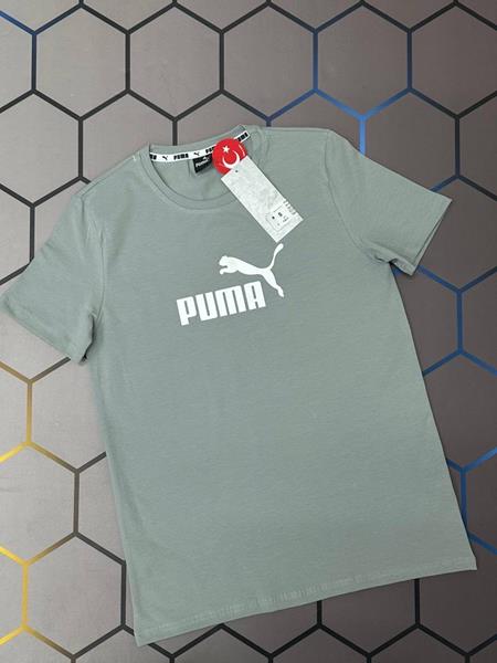 Футболка Alex Clothes (S-2XL) 4563 grey (лето)