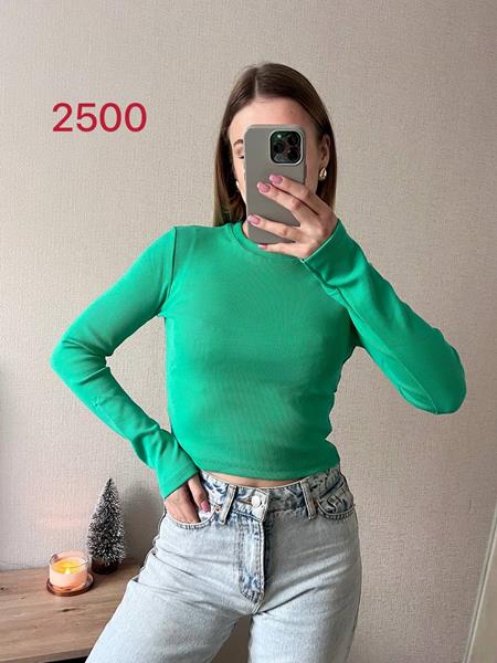 Топ FSN (42-46) 2500 green (деми)