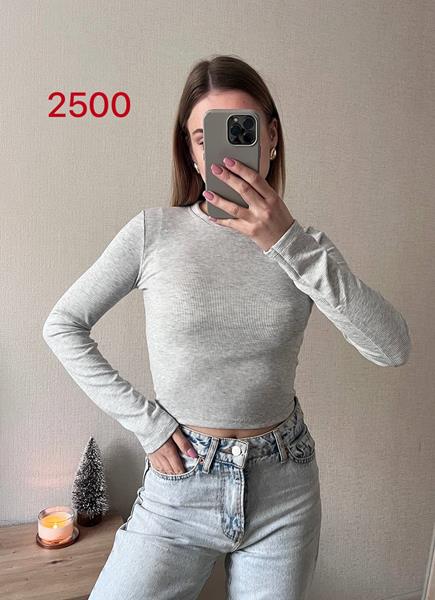 Топ FSN (42-46) 2500 grey (деми)