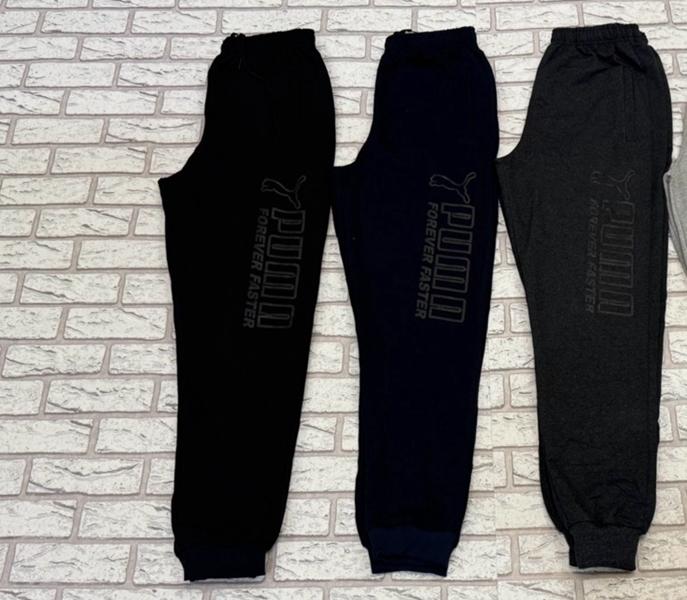 Штаны спорт Essa (46-54) E189 navy (деми)