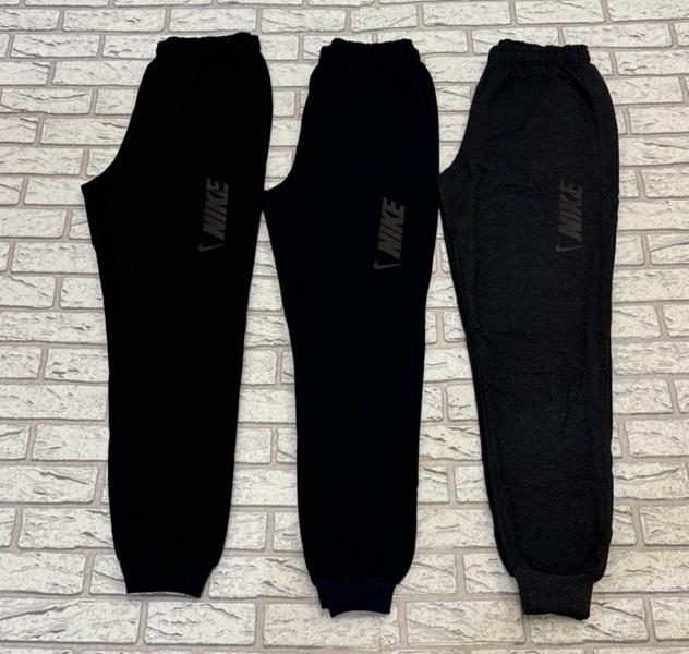Штаны спорт Essa (46-54) E191 black (деми)