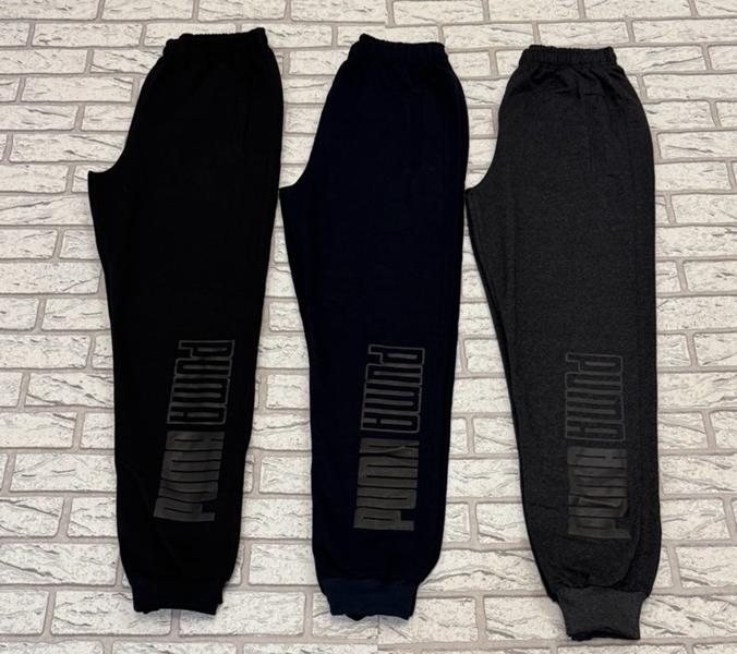 Штаны спорт Essa (46-54) E202 black (деми)