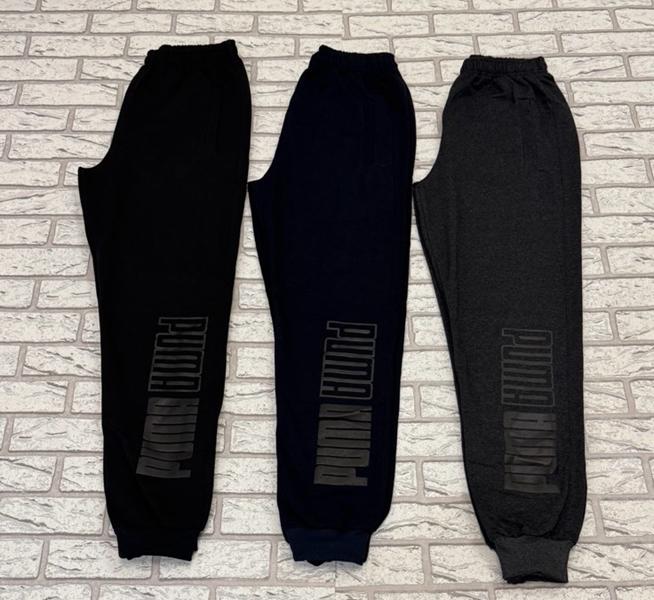 Штаны спорт Essa (46-54) E203 navy (деми)