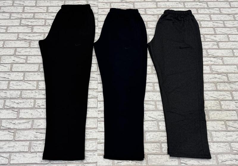 Штаны спорт Essa (46-54) E205 black (деми)