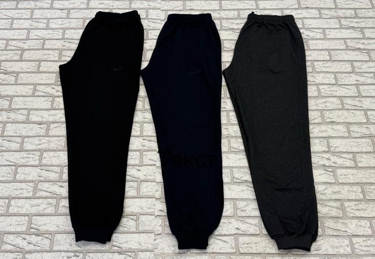 Штаны спорт Essa (46-54) E208 black (деми)