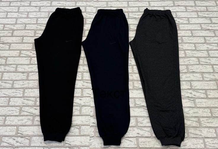 Штаны спорт Essa (46-54) E209 navy (деми)