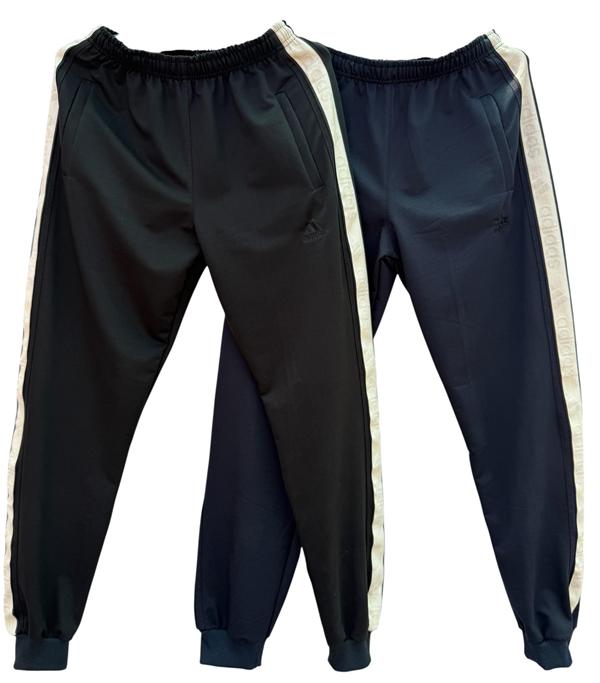Штаны спорт Essa (46-54) E251 navy (деми)
