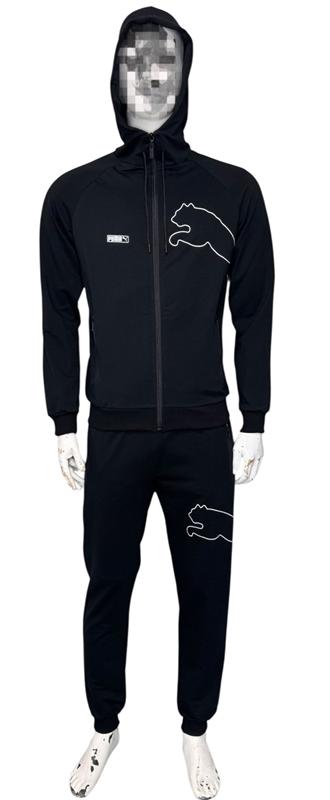Костюм спорт Essa (48-56) E233 black (деми)