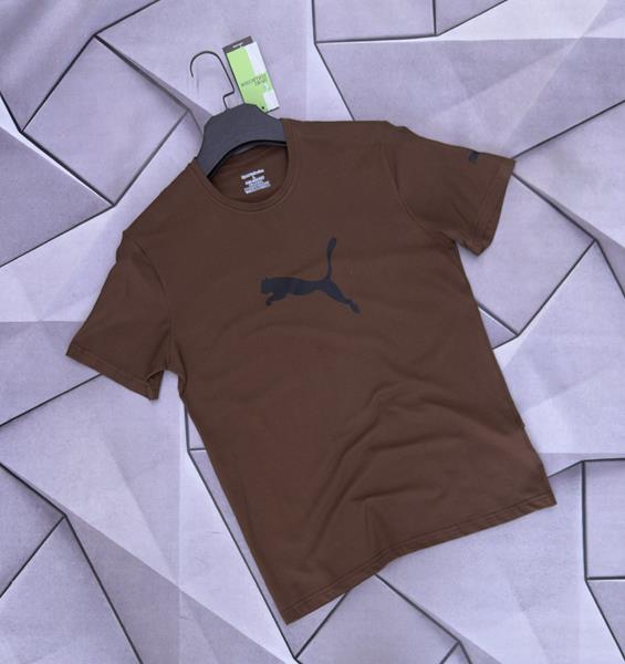 Футболка Rassul (S-2XL) 6415 brown (лето)