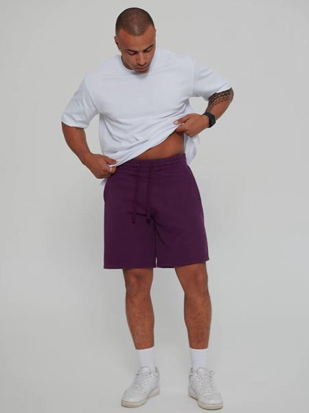 Шорты Faraon (M-2XL) 500067 purple (лето)