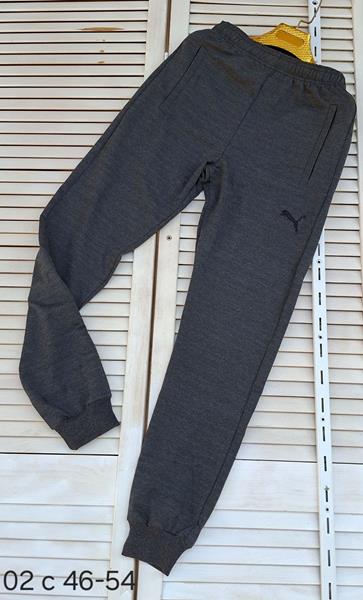 Штаны спорт Sport style (46-54) 02 grey (деми)