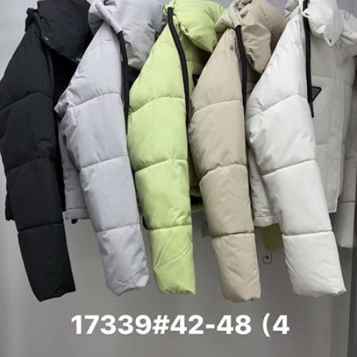 Куртка Jacket (42-48) 17339 l.grey (деми) Jacket 17339 l.grey